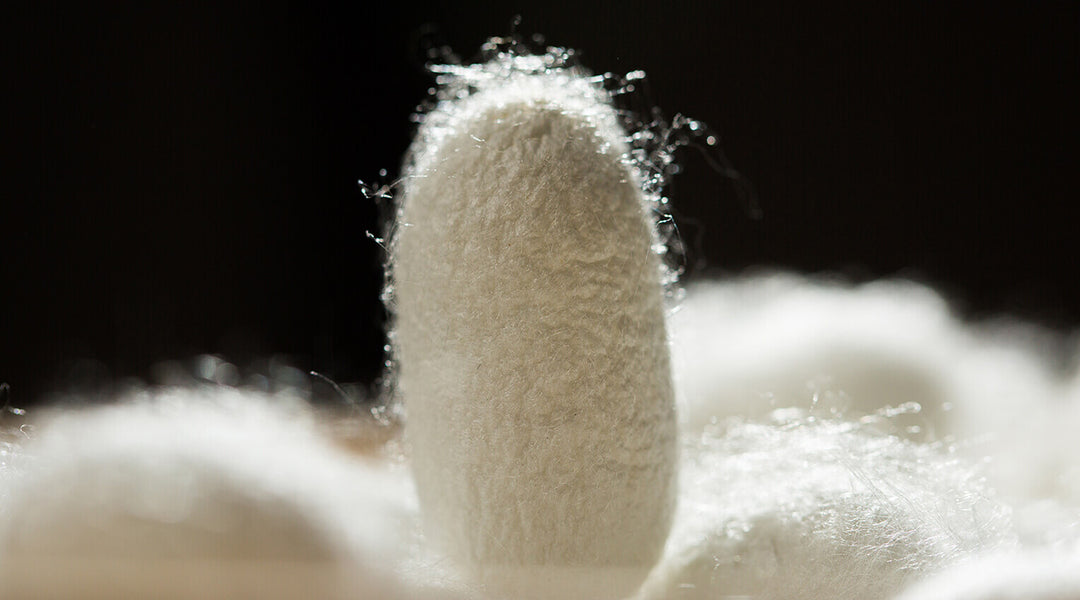 What is Mulberry Silk? BASK™