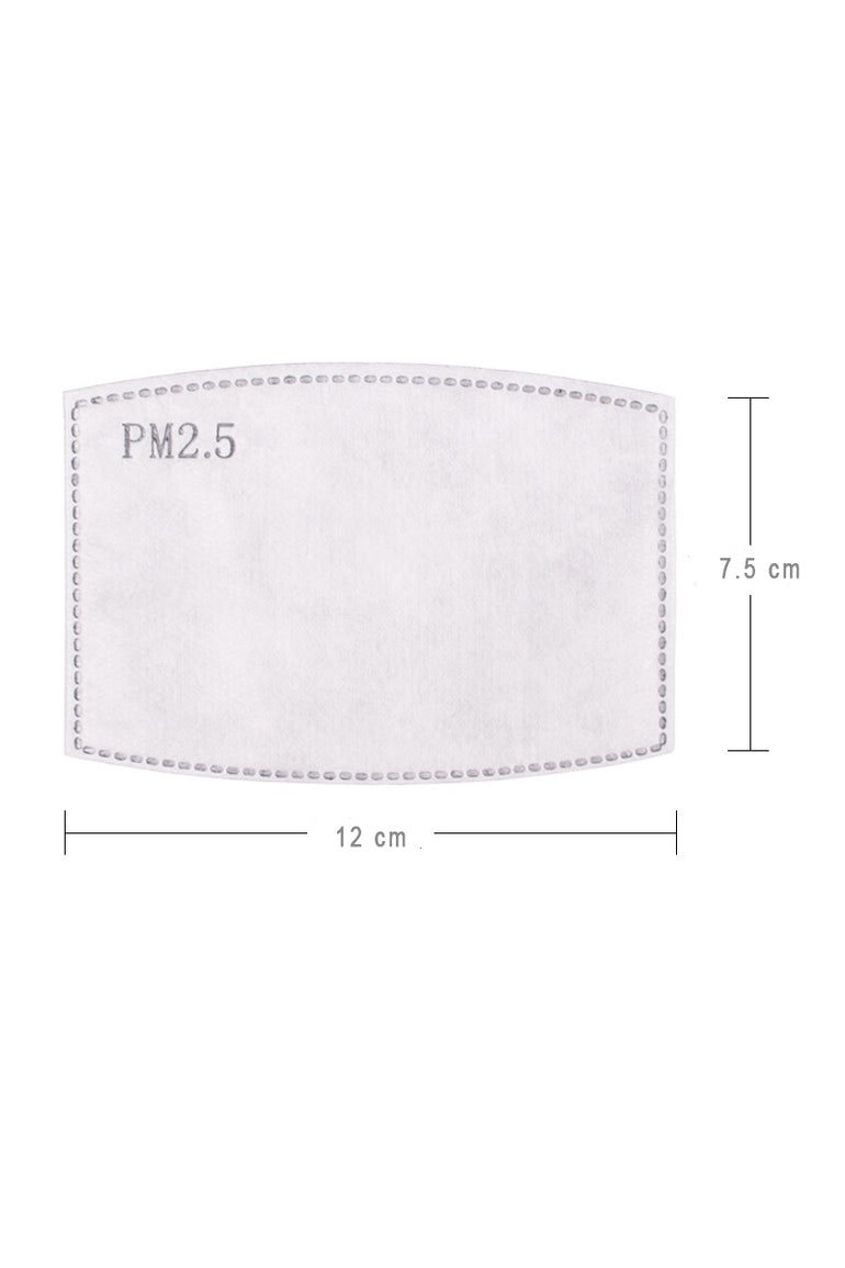 PM2.5 Activated Carbon Filter (10 pieces per pack) - BASK ™