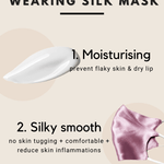 STELLAR Silk Face Mask - Rust (with Nose Wire and Filter Pocket) - BASK™
